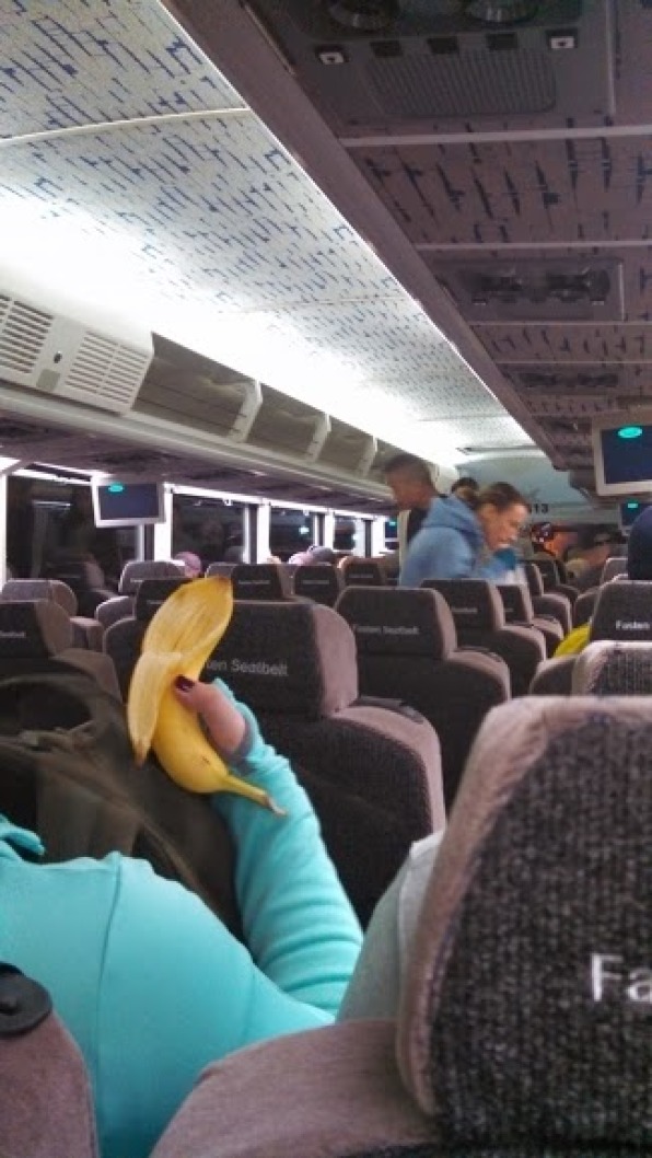 Suuuuper swank charter buses! [photo credit to The Lady]