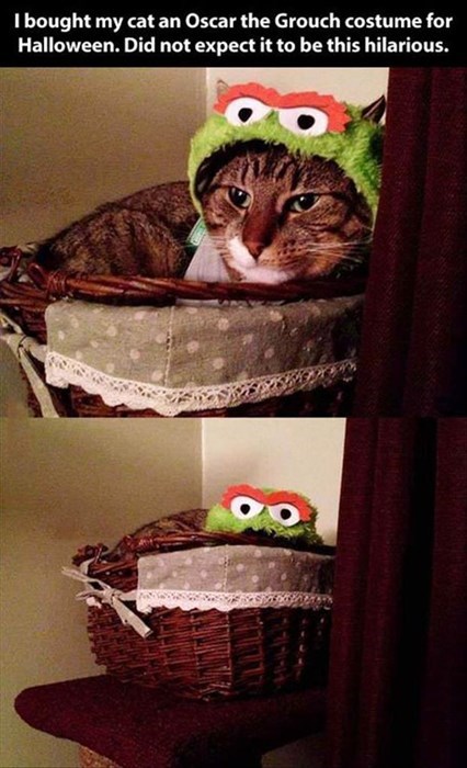 grouch_hat