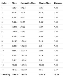 My full mile-per-mile splits. You can see where I got hit with what felt like a bag of hammers.